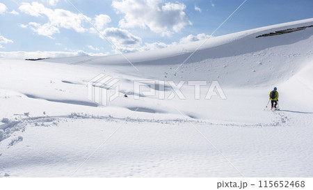 スノーシュートレッキングのイメージ 鳥取砂丘の雪景色 スノーシュートレッキングのイメージ 鳥取砂丘の雪景色 115652468