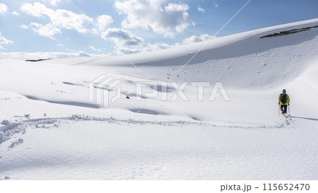 スノーシュートレッキングのイメージ 鳥取砂丘の雪景色 スノーシュートレッキングのイメージ 鳥取砂丘の雪景色 115652470