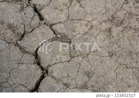 Wall texture soil dry crack pattern of drought lack of water of nature brown old broken background 115652527