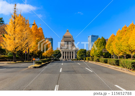 東京 千代田区 永田町 国会議事堂周辺の紅葉 東京 千代田区 永田町 国会議事堂周辺の紅葉 115652788