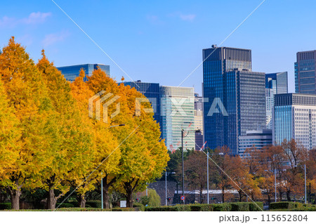 東京 千代田区 永田町 国会議事堂周辺の紅葉 東京 千代田区 永田町 国会議事堂周辺の紅葉 115652804