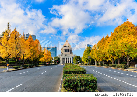 東京　千代田区 永田町　国会議事堂周辺の紅葉 115652819