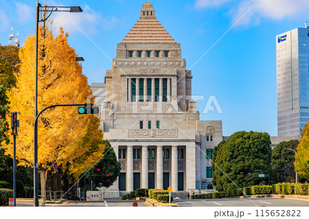 東京　千代田区 永田町　国会議事堂周辺の紅葉 115652822