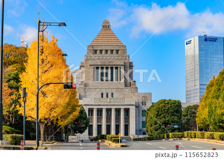 東京 千代田区 永田町 国会議事堂周辺の紅葉 東京 千代田区 永田町 国会議事堂周辺の紅葉 115652823
