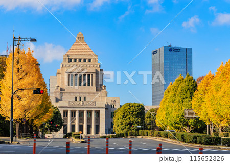 東京 千代田区 永田町 国会議事堂周辺の紅葉 東京 千代田区 永田町 国会議事堂周辺の紅葉 115652826
