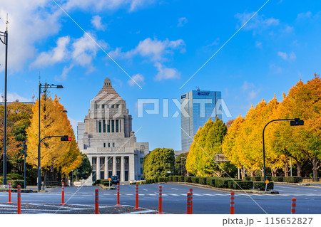 東京 千代田区 永田町 国会議事堂周辺の紅葉 東京 千代田区 永田町 国会議事堂周辺の紅葉 115652827
