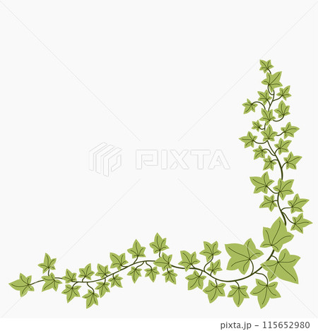 Floral ivy drawing decorative ornament flat design. Floral ivy drawing decorative ornament flat design. 115652980