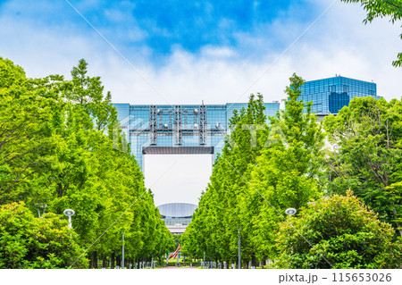 【東京都】セントラル広場 並木道 【東京都】セントラル広場 並木道 115653026
