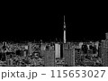 黒背景に東京の街並みと東京スカイツリー、東京のビジネス街 115653027