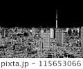 黒背景に東京の街並みと東京スカイツリー、東京のビジネス街 115653066