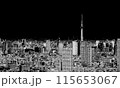 黒背景に東京の街並みと東京スカイツリー、東京のビジネス街 115653067