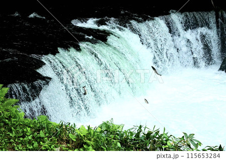 北海道清里町のさくらの滝 115653284