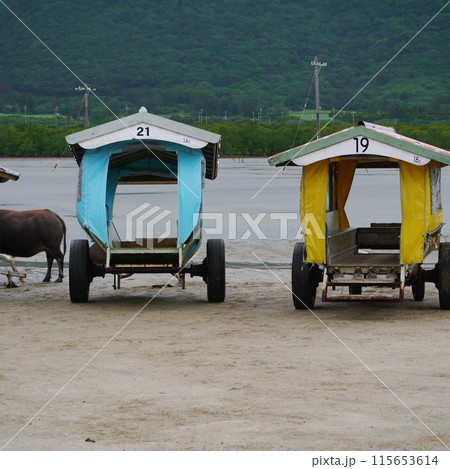 水牛車 水牛車 115653614