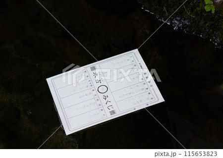 貴船神社 本宮 御神水に浮かぶ 水占みくじ 貴船神社 本宮 御神水に浮かぶ 水占みくじ 115653823