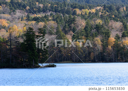 秋のオンネトーの紅葉 秋のオンネトーの紅葉 115653830