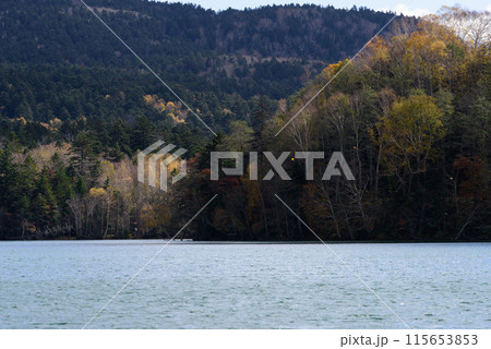 秋のオンネトーの紅葉 秋のオンネトーの紅葉 115653853