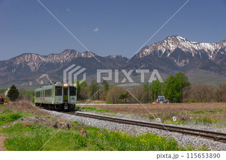 残雪の八ヶ岳をバックに耕作の始まった野菜畑を走るキハ110系 残雪の八ヶ岳をバックに耕作の始まった野菜畑を走るキハ110系 115653890