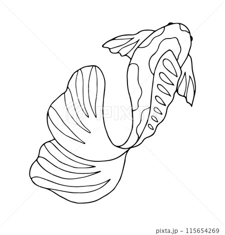 Black line graphics of fish. Outline illustration with sea animals. Hand drawn graphics. Undersea world. Ocean dwellers. Stylized linear minimalist sketch of children's coloring book in doodle style. 115654269