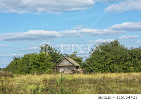 Wooden rural house amongst the trees in Sunny weather 115654423