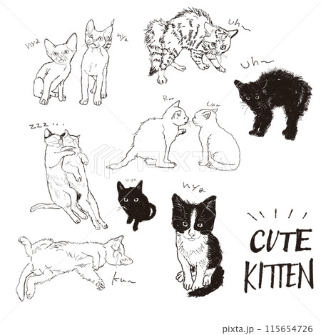 子猫の線画イラストセット 115654726