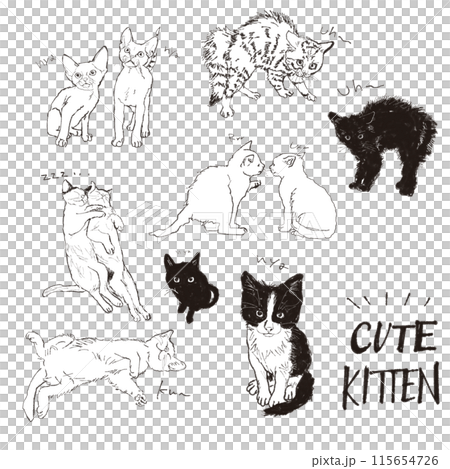 子猫の線画イラストセット 115654726