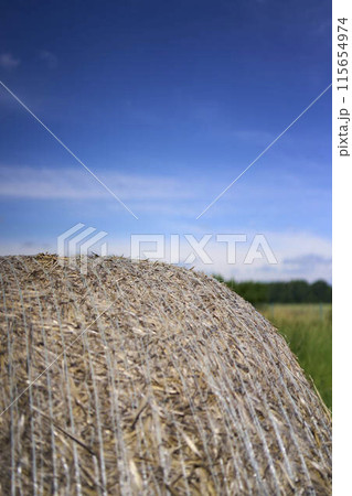 a round stack of hay in front of a clear blue sky in a field 115654974