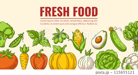 Fresh food and vegetables, harvesting. Horizontal vector banner. Isolated background, space for text. Healthy farm organic products, natural veggies icons. For poster, menu, flyer, web design 115655121