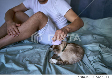 a man massages a cat with a head massager 115655244