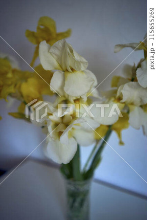 a bouquet of yellow and white irises in a crystal vase in the interior a bouquet of yellow and white irises in a crystal vase in the interior 115655269