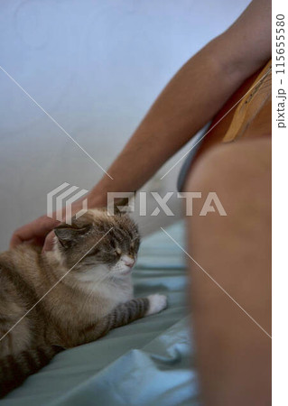 a young man is learning to play the guitar at home, a cat is lying next to him and listening a young man is learning to play the guitar at home, a cat is lying next to him and listening 115655580