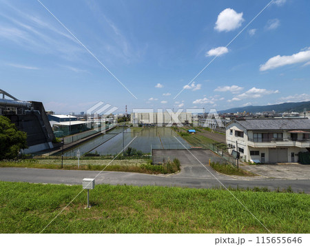 水田が在る街の風景 水田が在る街の風景 115655646