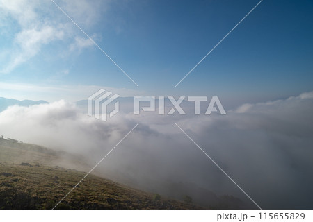 車山山頂から雲海と八ヶ岳を眺める 115655829