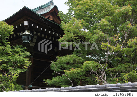 防府天満宮の御本殿裏にさがる梅紋の釣り灯籠 115655993