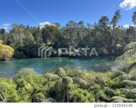 ニュージーランド北島・タウポ 115656136