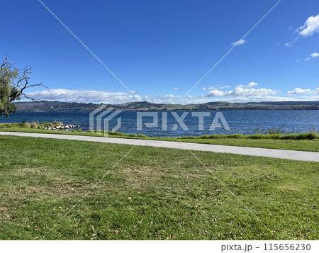 ニュージーランド北島・タウポ 115656230