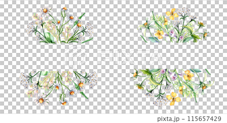 Frames with different medicinal plants, herbs watercolor illustration isolated on white. Achillea millefolium, yarrow in sketch. Bur marigold, celandine flower hand drawn. Design for label, package 115657429