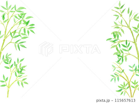 水彩絵の具で描いた笹、竹林の手描きイラスト 水彩絵の具で描いた笹、竹林の手描きイラスト 115657613