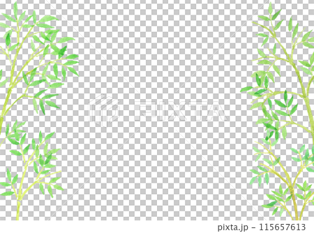 水彩畫竹子和竹林手繪插畫 水彩畫竹子和竹林手繪插畫 115657613