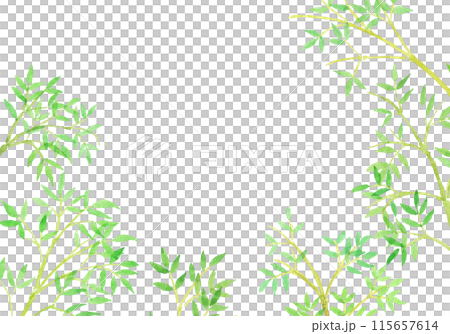 水彩畫竹子和竹林手繪插畫 水彩畫竹子和竹林手繪插畫 115657614