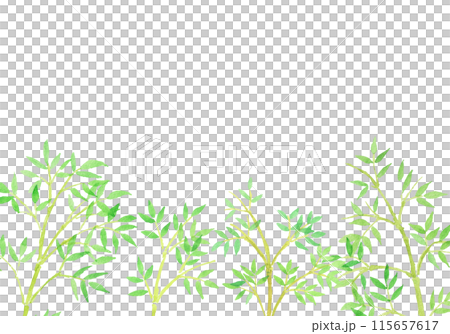 水彩畫竹子和竹林手繪插畫 水彩畫竹子和竹林手繪插畫 115657617