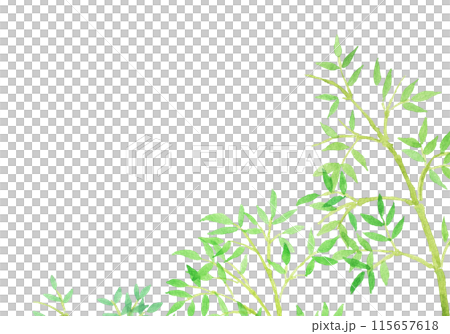 水彩畫竹子和竹林手繪插畫 水彩畫竹子和竹林手繪插畫 115657618