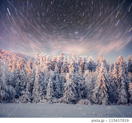 starry sky in winter snowy night. fantastic milky way in the New Year's Eve. In anticipation of the holiday. Dramatic scene. Carpathian. Ukraine starry sky in winter snowy night. fantastic milky way in the New Year's Eve. In anticipation of the holiday. Dramatic scene. Carpathian. Ukraine 115657859