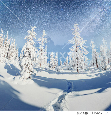 starry sky in winter snowy night. fantastic milky way in the New Year's Eve. In anticipation of the holiday. Dramatic scene. Carpathian. Ukraine starry sky in winter snowy night. fantastic milky way in the New Year's Eve. In anticipation of the holiday. Dramatic scene. Carpathian. Ukraine 115657902