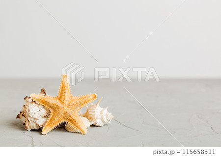 Summer time concept with sea shells or starfish on a table background with copy space for text Summer time concept with sea shells or starfish on a table background with copy space for text 115658311