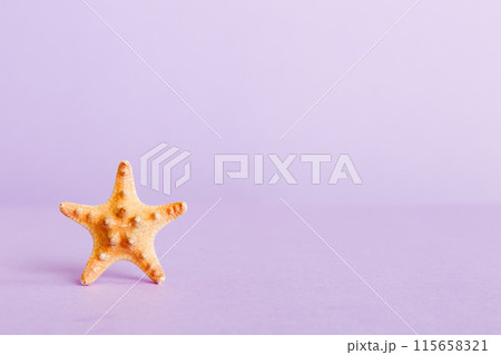 Summer time concept with sea shells or starfish on a table background with copy space for text 115658321