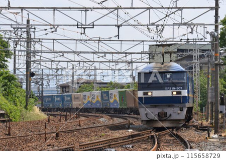 複々線東海道本線 下り山崎カーズを行く長大貨物列車 複々線東海道本線 下り山崎カーズを行く長大貨物列車 115658729