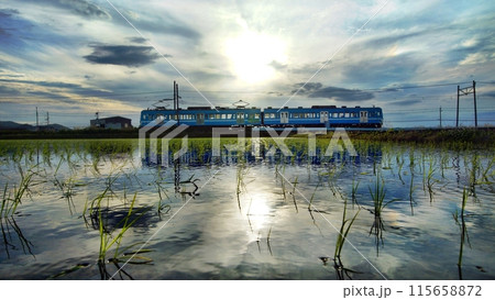 美しい日々 115658872