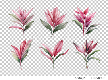 Ti Plant, Tropical Leaf Illustration. Watercolor Style. AI Generated Ti Plant, Tropical Leaf Illustration. Watercolor Style. AI Generated 115658906
