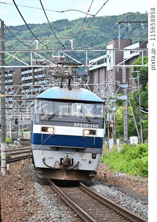 複々線東海道本線 上り山崎カーズを行く長大貨物列車 複々線東海道本線 上り山崎カーズを行く長大貨物列車 115658958