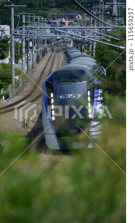 鉄仮面あずさ 115659257